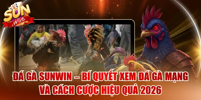 Đá gà